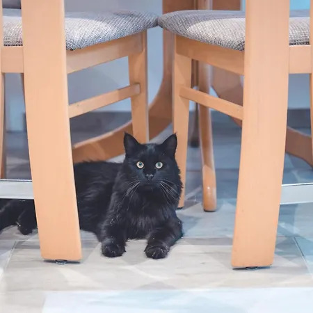 & Ksenya Apartmán *