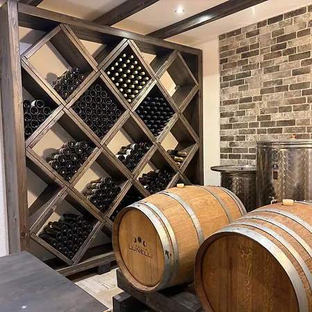 & Ksenya * Spodnja Hajdina