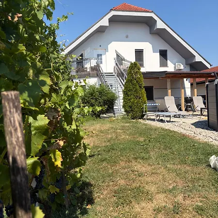 & Ksenya Apartament *