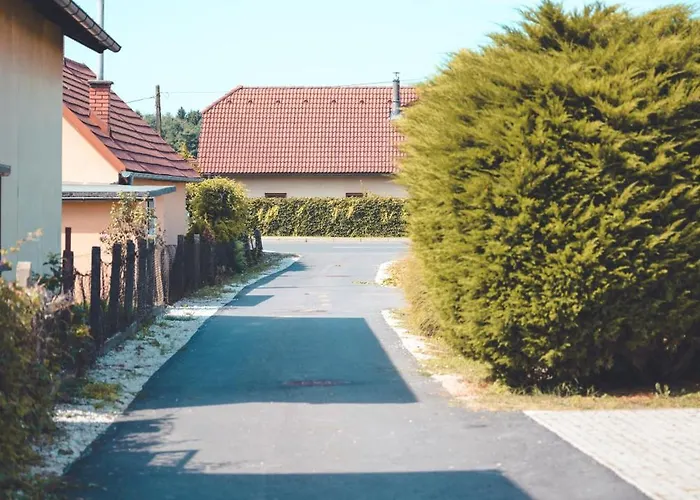 Lejlighed & Ksenya *